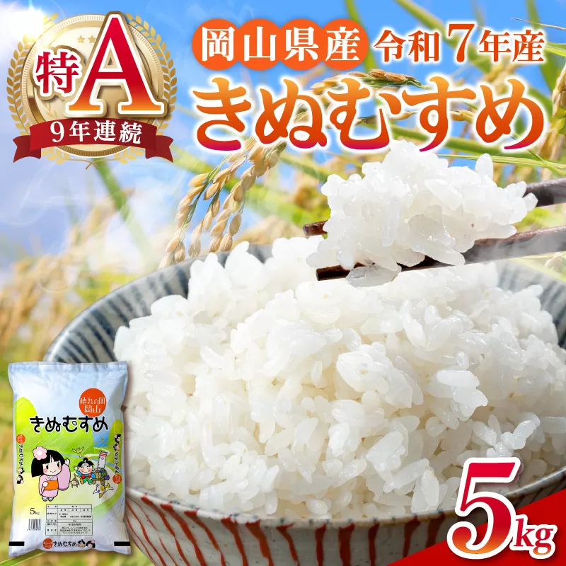 【令和7年産米】岡山県産 精米 きぬむすめ　5kg【米 配送 令和7年産 米 精米 ごはん 白米 国産米】
