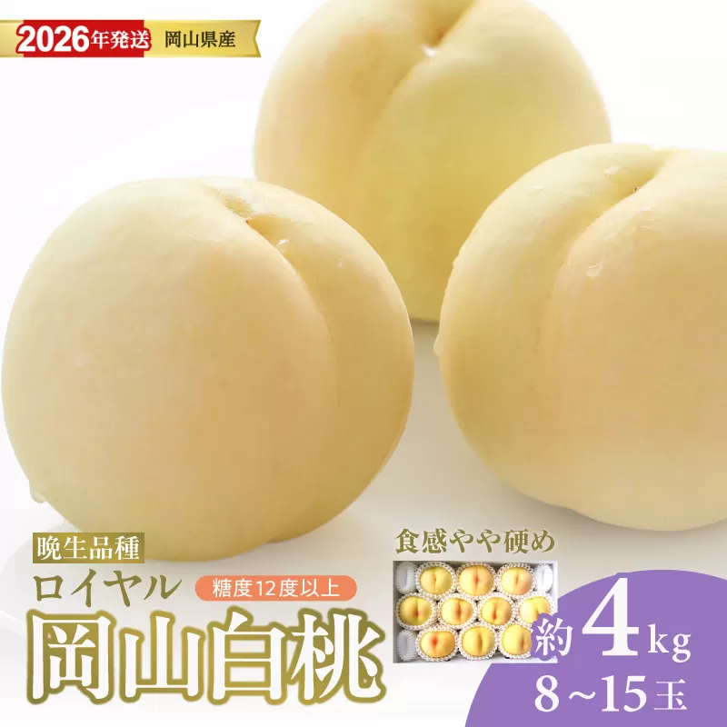 【2026年発送分 先行受付スタート！】岡山県産 白桃（晩生種） 最高ランク！「ロイヤル」約4kg（ 8〜15玉）（令和8年8月以降発送）【 白桃ロイヤル フルーツ 果物 くだもの もも 桃 モモ 岡山県産 】hz-m