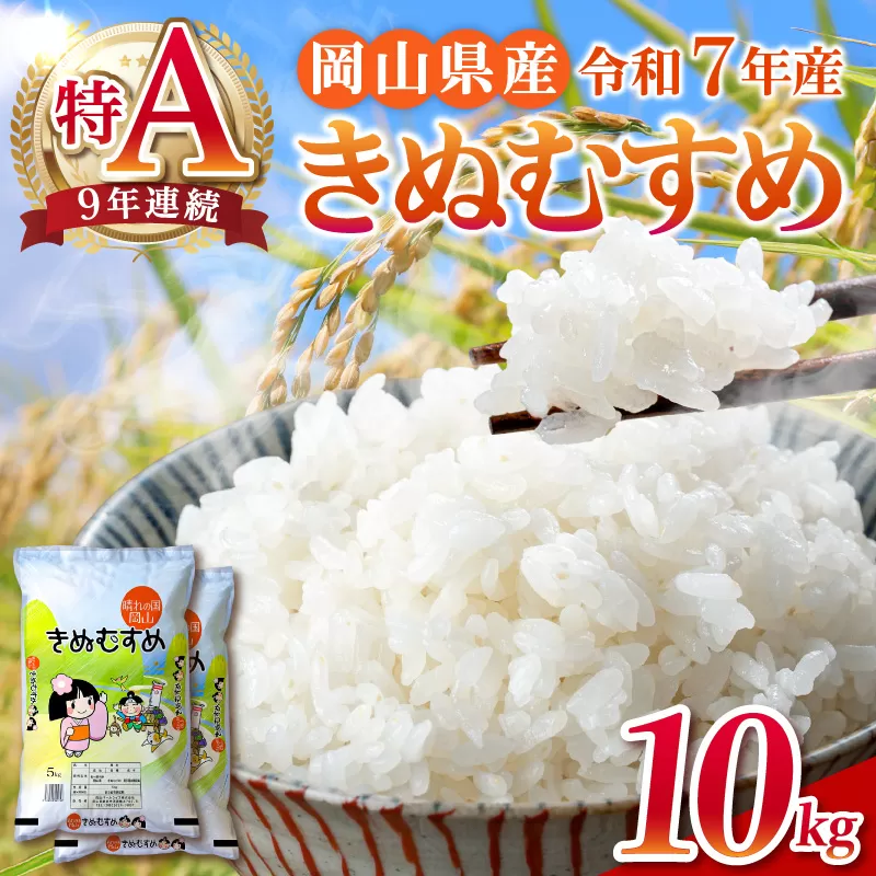 【令和7年産米】岡山県産 精米 きぬむすめ　10kg（5kg×2袋）【米 配送 令和7年産 米 精米 ごはん 白米 国産米】