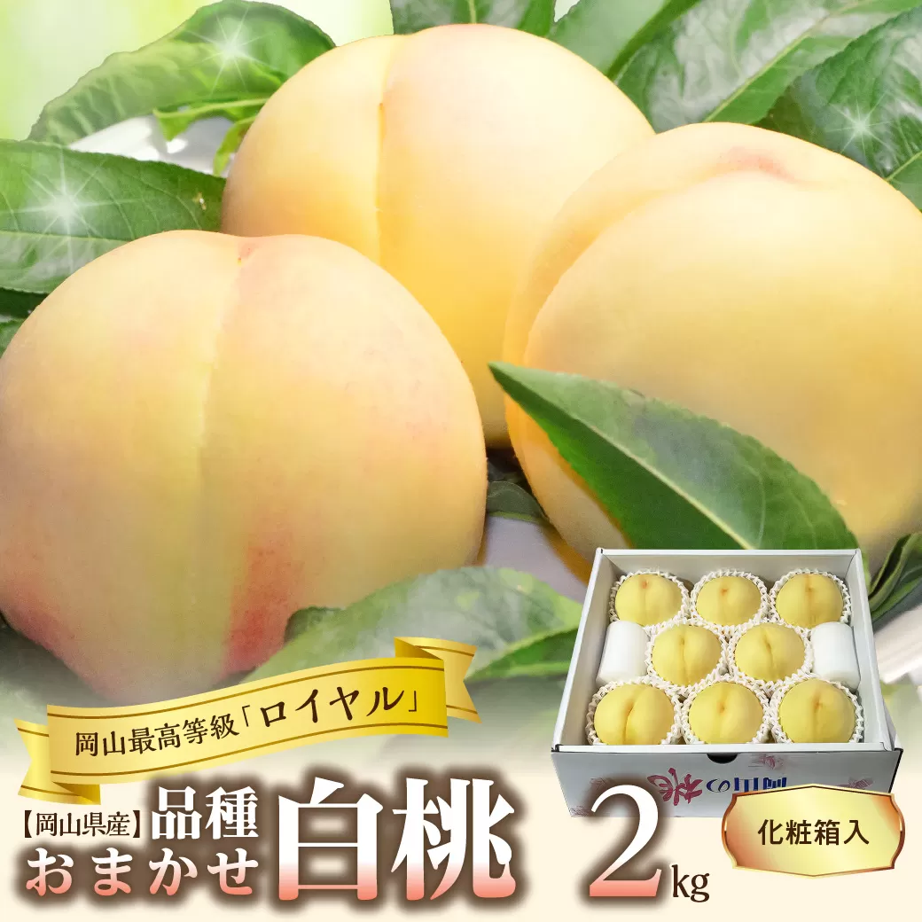 【令和６年発送分】岡山県産　白桃「ロイヤル」2kg