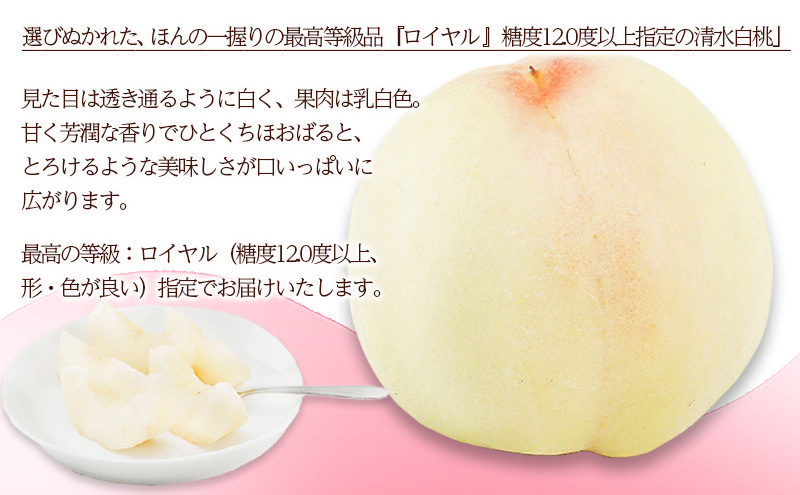 掛け軸　「白桃」 清水基吉 美品 掛け軸 吉口松堂作「白雲自去来・掬水月在手・