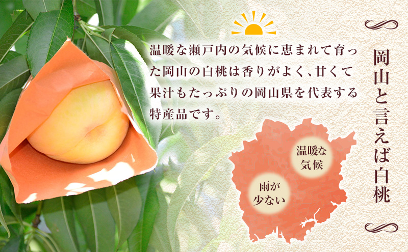 楽天市場】【6月下旬から順次ご発送】 【 和歌山県 桃 約 2kg 6