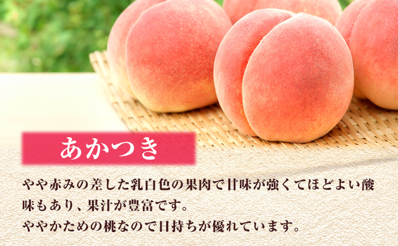 2025年先行予約】 桃 岡山県産 あかつき 約1.5kg(5～7玉) 《2025年7月 