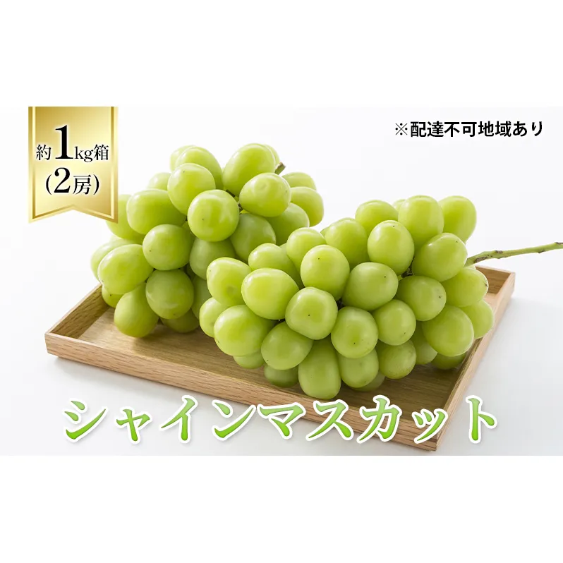 ぶどう 2024年 先行予約 シャインマスカット 1kg箱（2房） 葡萄 ブドウ 岡山県産 フルーツ 果物