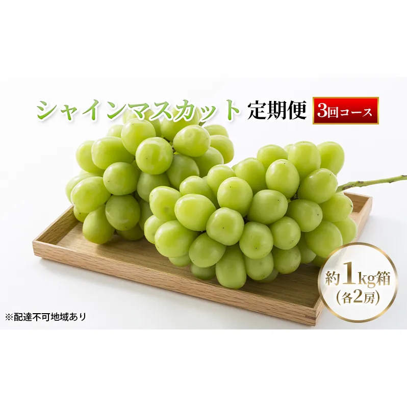ぶどう 2024年 先行予約 シャインマスカット 1kg箱（各2房） 定期便 3回 葡萄 ブドウ 岡山県産 フルーツ 果物