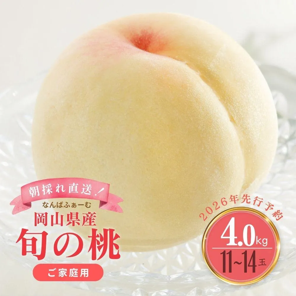 【2026年先行予約】［なんばふぁーむ］岡山県産 旬の桃 4.0kg（11～14玉）［ご家庭用］｜桃 もも モモ フルーツ 果物 朝採り旬 岡山県産 産地直送 産直 送料無料 鏡野町
