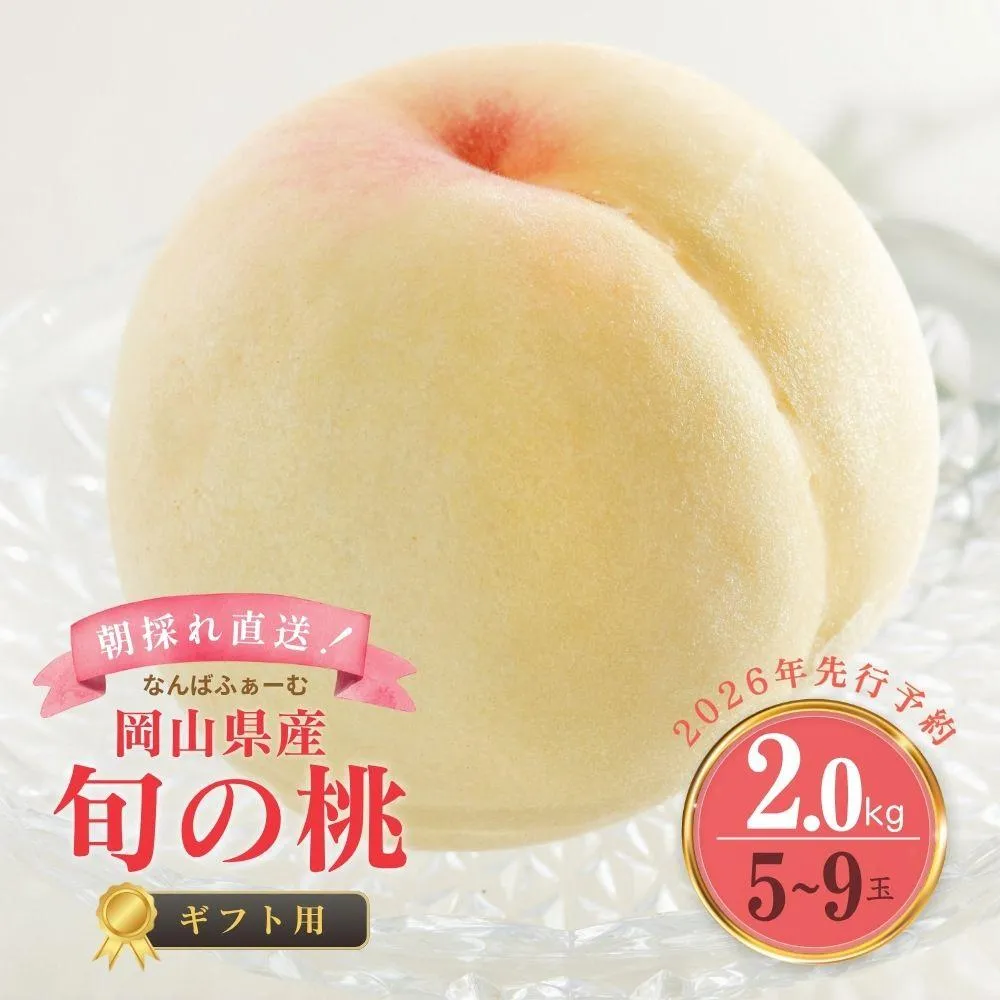 【2026年先行予約】［なんばふぁーむ］岡山県産 旬の桃 2.0kg（5～9玉）[ギフト用]｜桃 もも モモ フルーツ 果物 贈答 贈答用 ギフト 朝採り旬 岡山県産 産地直送 産直 送料無料 鏡野 039-a004