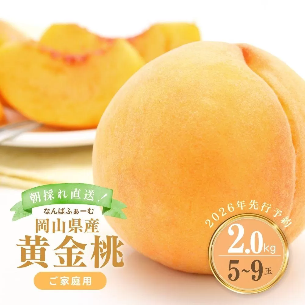 【2026年先行予約】［なんばふぁーむ］岡山県産 黄金桃 2.0kg（5～9玉）［ご家庭用］桃 もも モモ おうごんとう フルーツ 果物 朝採り旬 岡山県産 産地直送 産直 送料無料 鏡野町