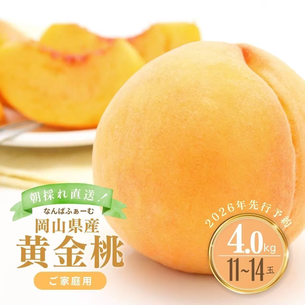 【2026年先行予約】［なんばふぁーむ］岡山県産 黄金桃 4.0kg（11～14玉）［ご家庭用］|桃 もも モモ おうごんとう フルーツ 果物 朝採り旬 岡山県産 産地直送 産直 送料無料 鏡野町