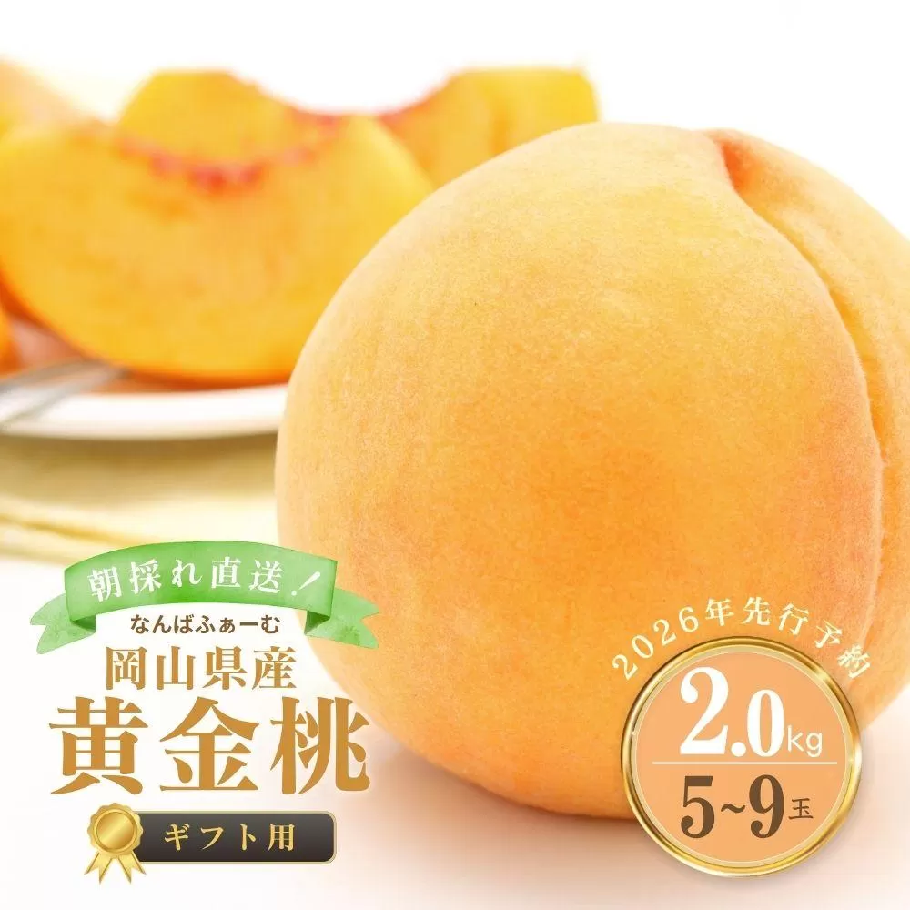 【2026年先行予約】［なんばふぁーむ］岡山県産 黄金桃 2.0kg（5～9玉）[ギフト用]桃 もも モモ おうごんとう フルーツ 果物 贈答 贈答用 ギフト 朝採り旬 岡山県産 産地直送 産直 送料無料 鏡野町