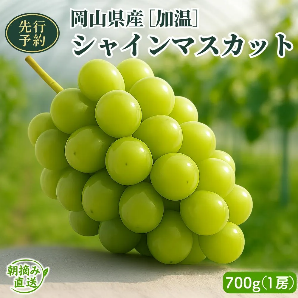 【2026年先行予約】［加温］岡山県産シャインマスカット 700g（１房入）