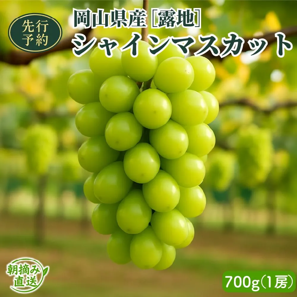 【2026年先行予約】［露地］岡山県産シャインマスカット 700g（１房入）