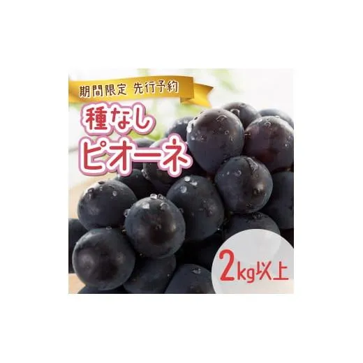 【期間限定】鏡野町産 ピオーネ 2kg(3~4房)
