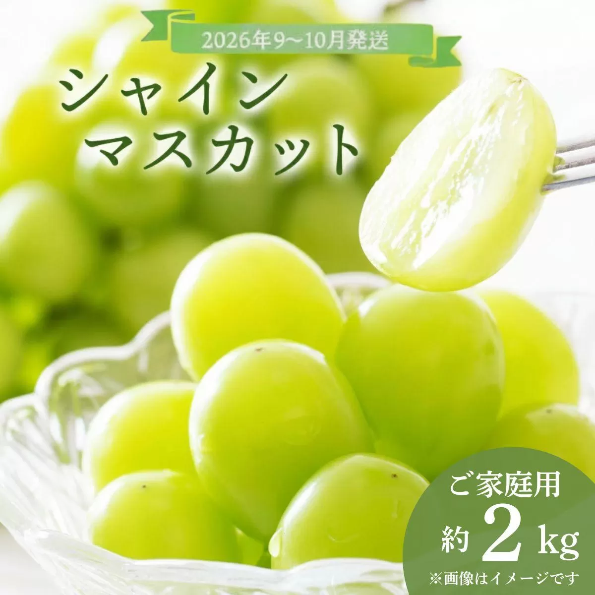＜2026年発送分 先行予約＞9～10月発送ご家庭用シャインマスカット2Kg箱【029-a013】