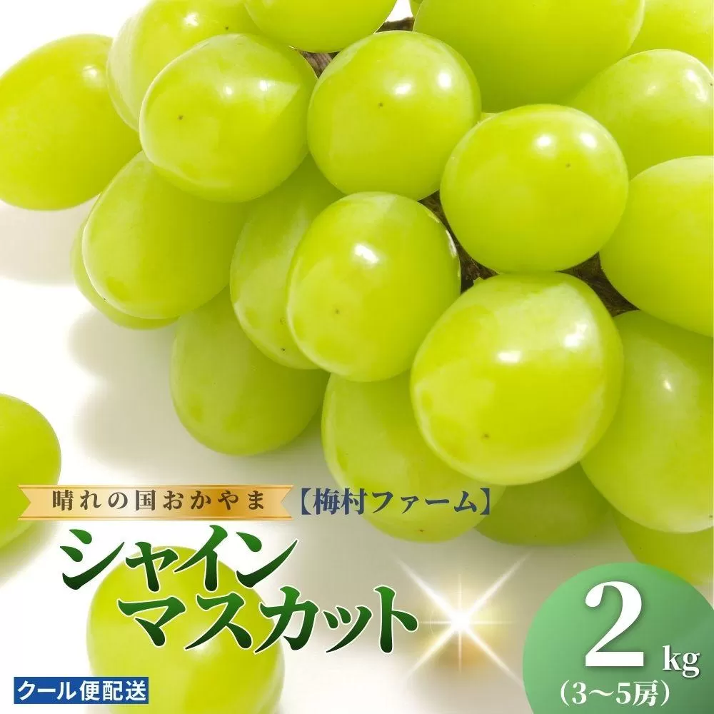 【2026年発送分 先行予約】【梅村ファーム】朝摘み直送 シャインマスカット（3～5房入り 約2.0kg）【030-a017】