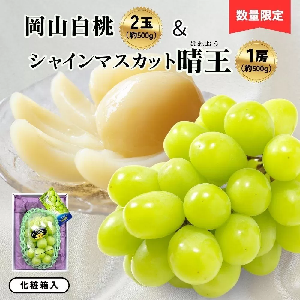 岡山白桃2玉（約500ｇ）＆シャインマスカット晴王1房（約500ｇ）化粧箱入