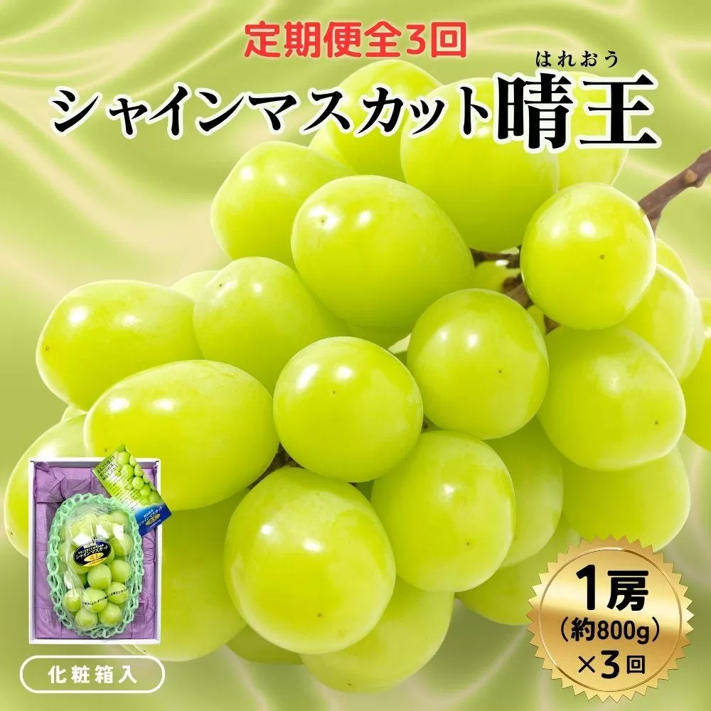 ＜定期便全3回＞ シャインマスカット晴王1房800ｇ化粧箱入  3回コース【2026年発送】[040-a012]