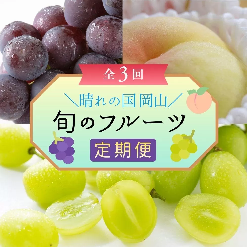 ＜定期便3回＞ 岡山白桃、シャインマスカット晴王、ぼっけぇピオーネの3回コース [040-a014]