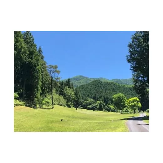 ＜6,000円分＞ 奥津ゴルフ?楽部　施設利用券 1,000円券×6枚【017-a005】