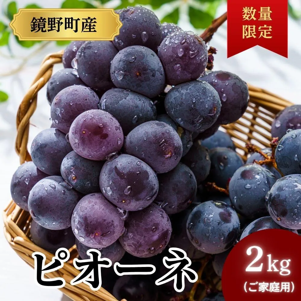 【期間限定】鏡野町産 ピオーネ 2kg(ご家庭用)【004-a029】
