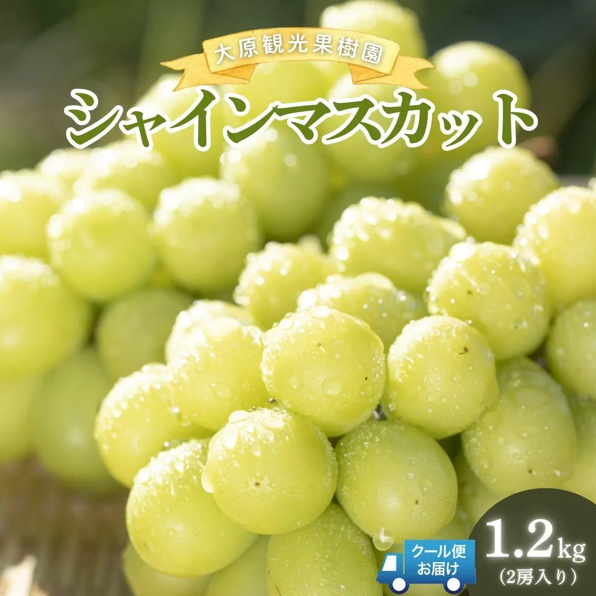【2026年先行予約】［大原観光果樹園］シャインマスカット 2房（約1.2kg）【026-a014】