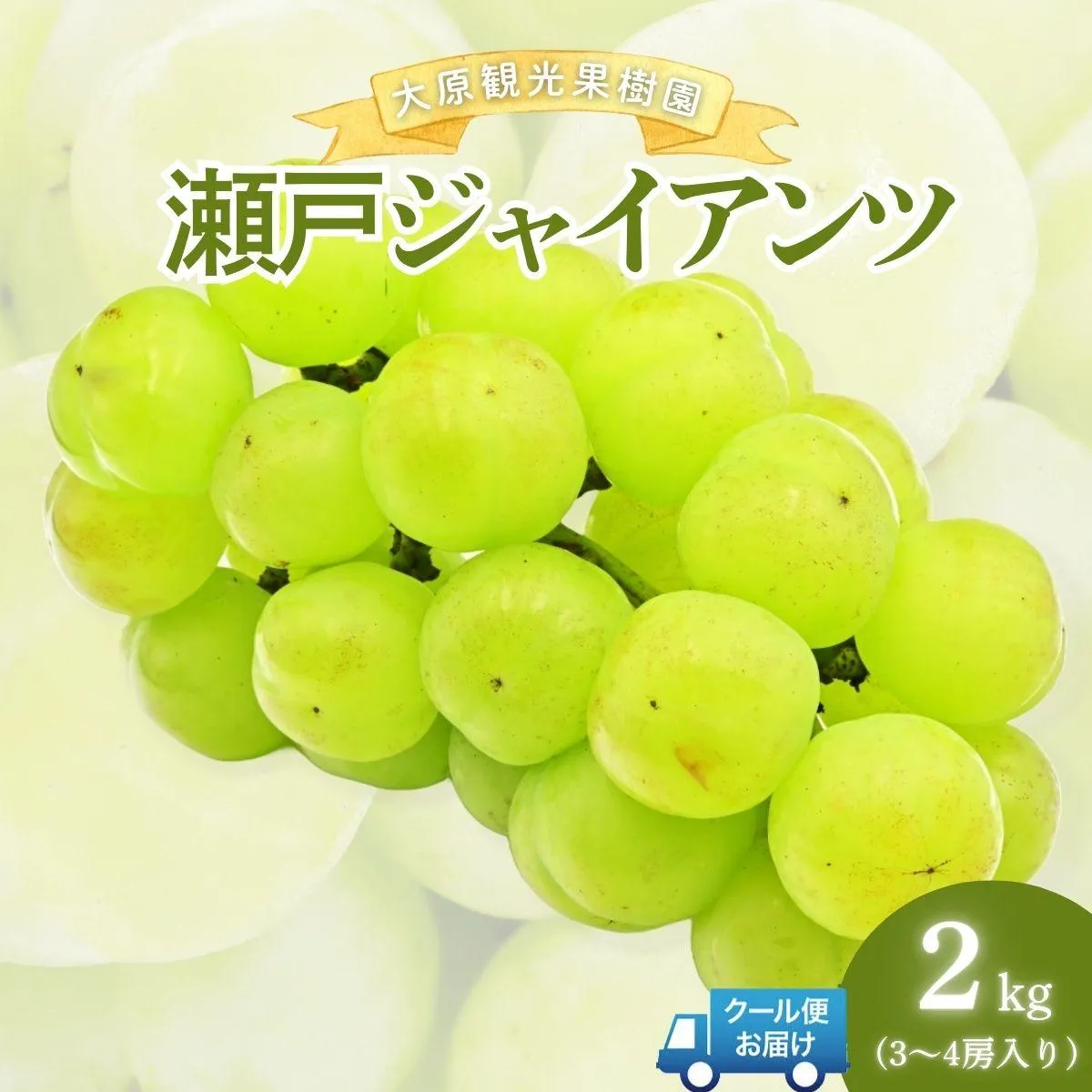【2026年先行予約】［大原観光果樹園］瀬戸ジャイアンツ 3～4房（約2kg）| マスカット 種無し ぶどう 葡萄 果物 くだもの フルーツ 岡山県産 岡山 鏡野町【026-a016】