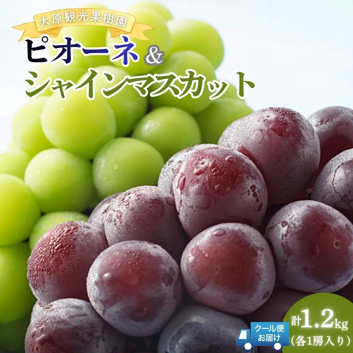 【2026年先行予約】［大原観光果樹園］ピオーネ1房とシャインマスカット1房（計2房 約1.2kg）【026-a017】
