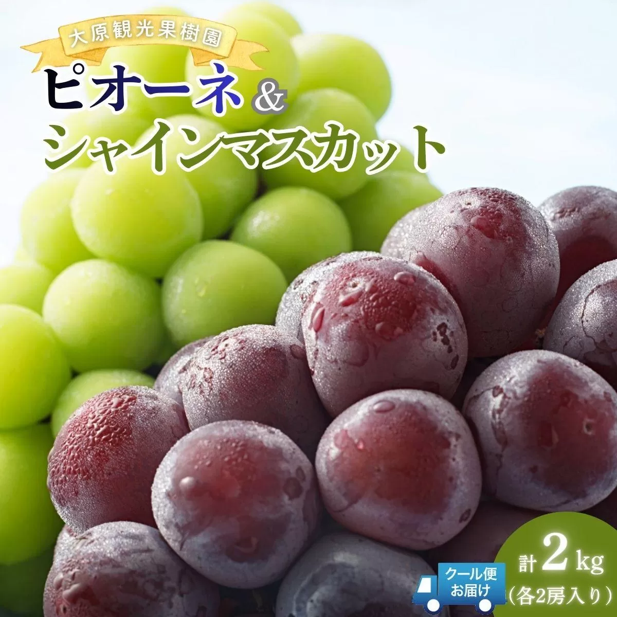 【2026年先行予約】［大原観光果樹園］ピオーネ2房とシャインマスカット2房（計4房 約2kg）【026-a018】