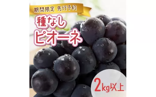 【期間限定】鏡野町産 ピオーネ 2kg（3～4房）