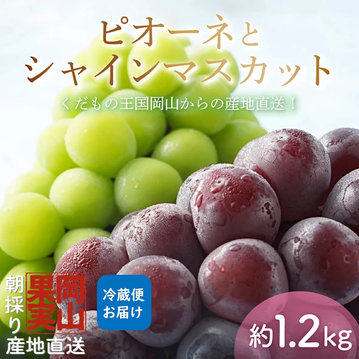 【2025年先行予約】［大原観光果樹園］ピオーネ1房とシャインマスカット1房（計2房 約1.2kg）【026-a017】