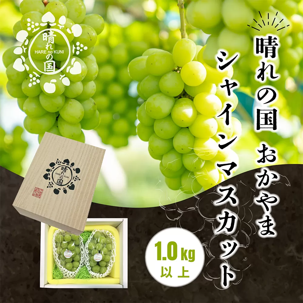 【先行予約　2025年9月上旬発送〜】岡山県産シャインマスカット 1.0kg（2〜3房）［021-a019］