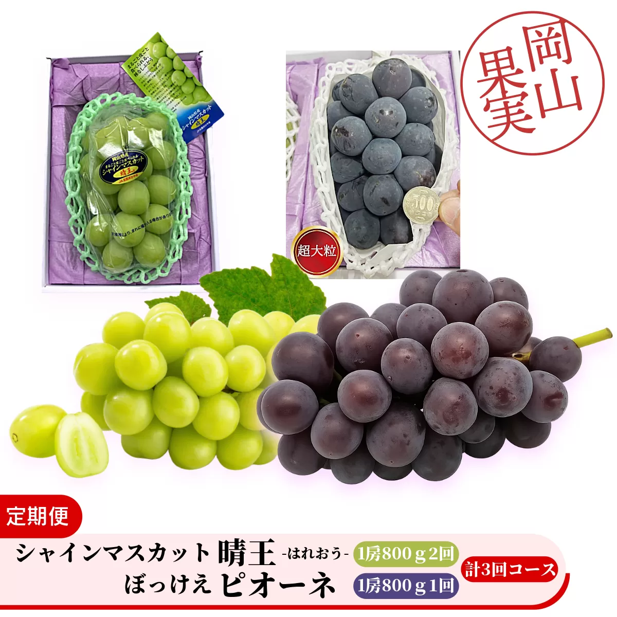 ＜定期便全3回＞シャインマスカット晴王1房800ｇ2回とぼっけぇピオーネ1房800ｇ1回の計3回コース