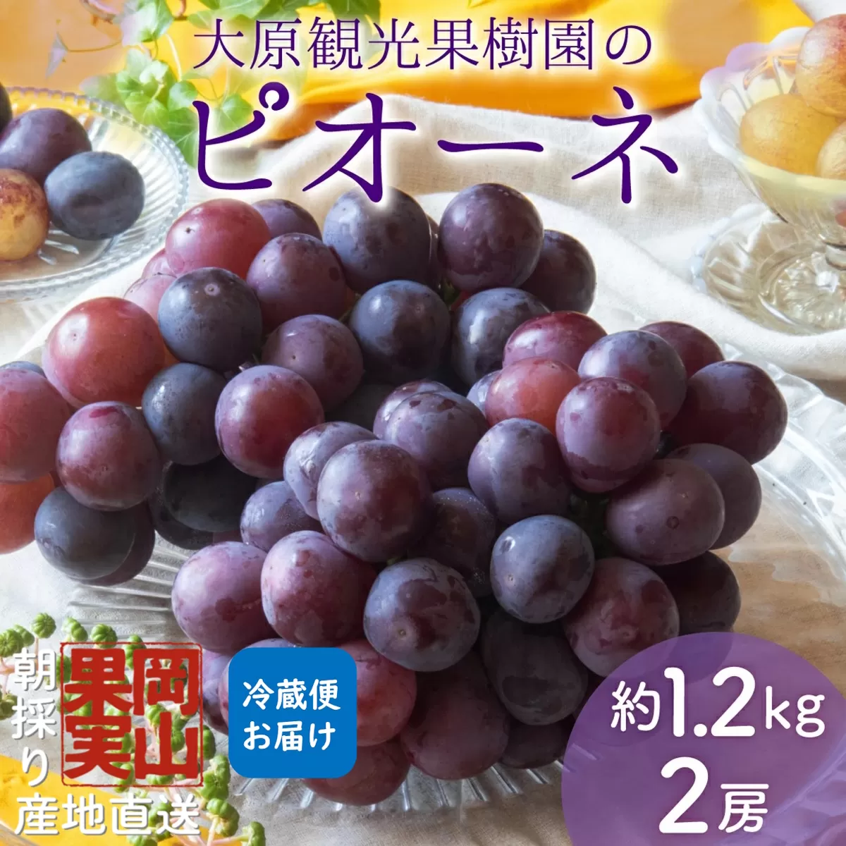 【2025年先行予約】［大原観光果樹園］ピオーネ 2房（約1.2kg）【026-a012】