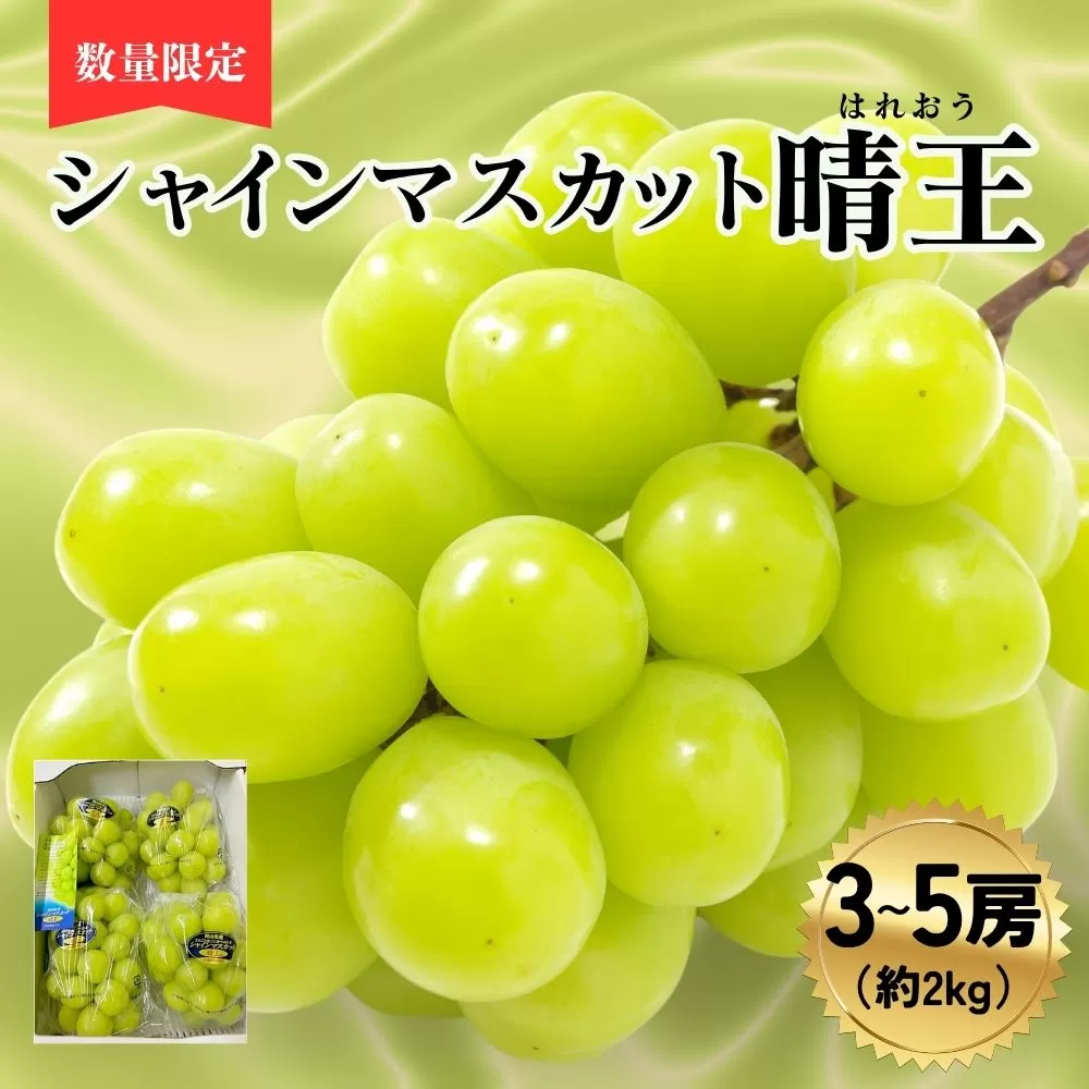 シャインマスカット晴王3～5房（約2ｋｇ）