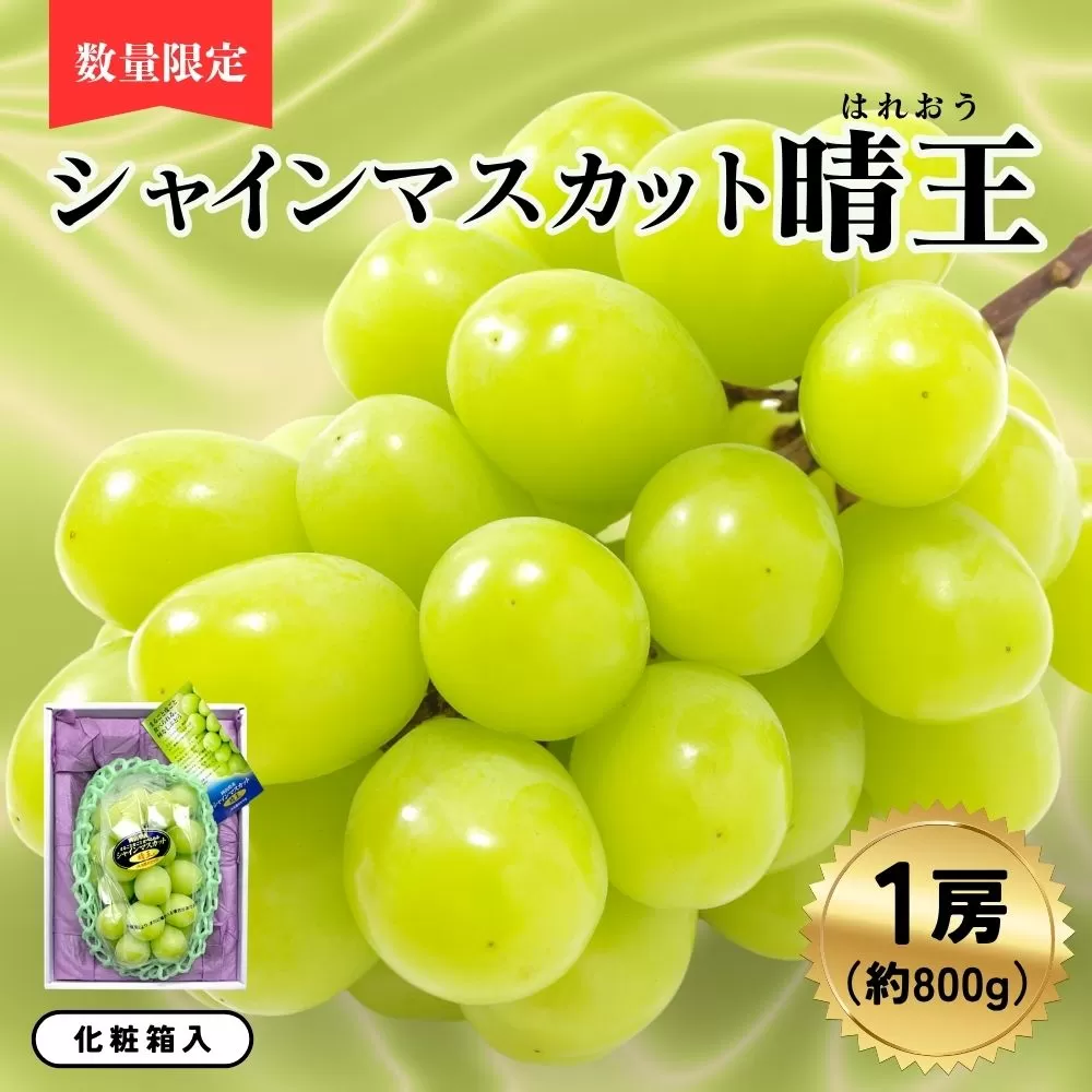 シャインマスカット晴王1房（約800ｇ）化粧箱入