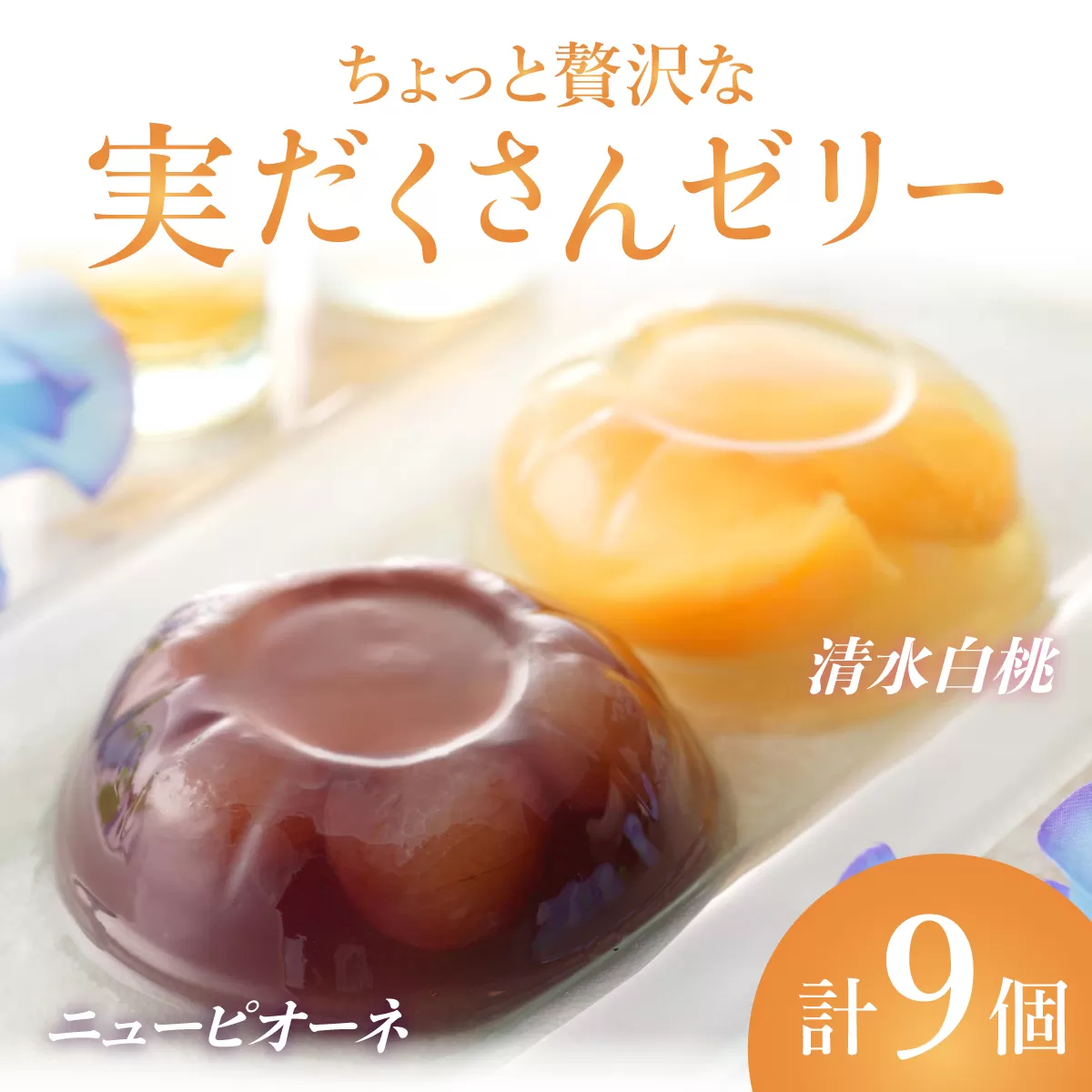 ちょっと贅沢な実だくさんゼリー9個入【021-a018】