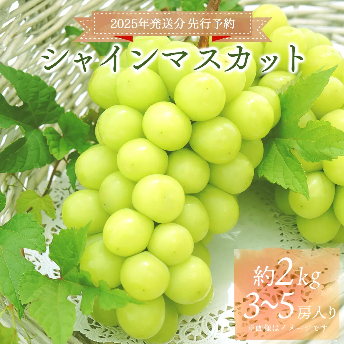 ＜2025年発送分 先行予約＞梅村ファーム 朝摘み直送 シャインマスカット（3房〜5房 約2kg）【030-a011】