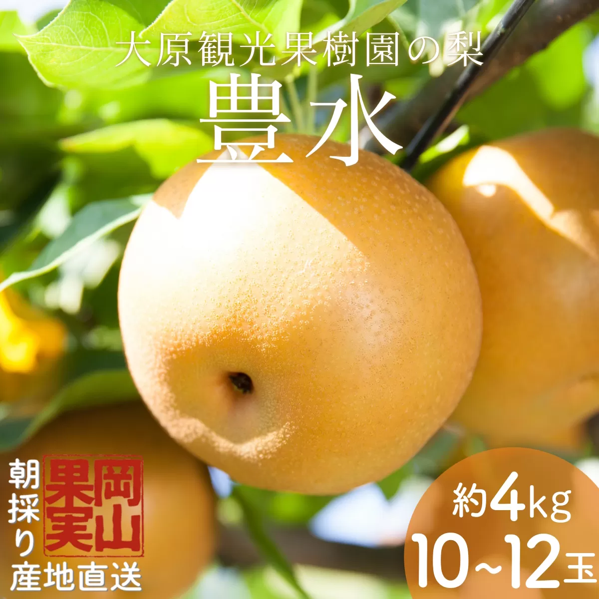 【2025年先行予約】［大原観光果樹園］岡山県産 旬の梨（豊水）（約4kg 10～12玉）【026-a022】