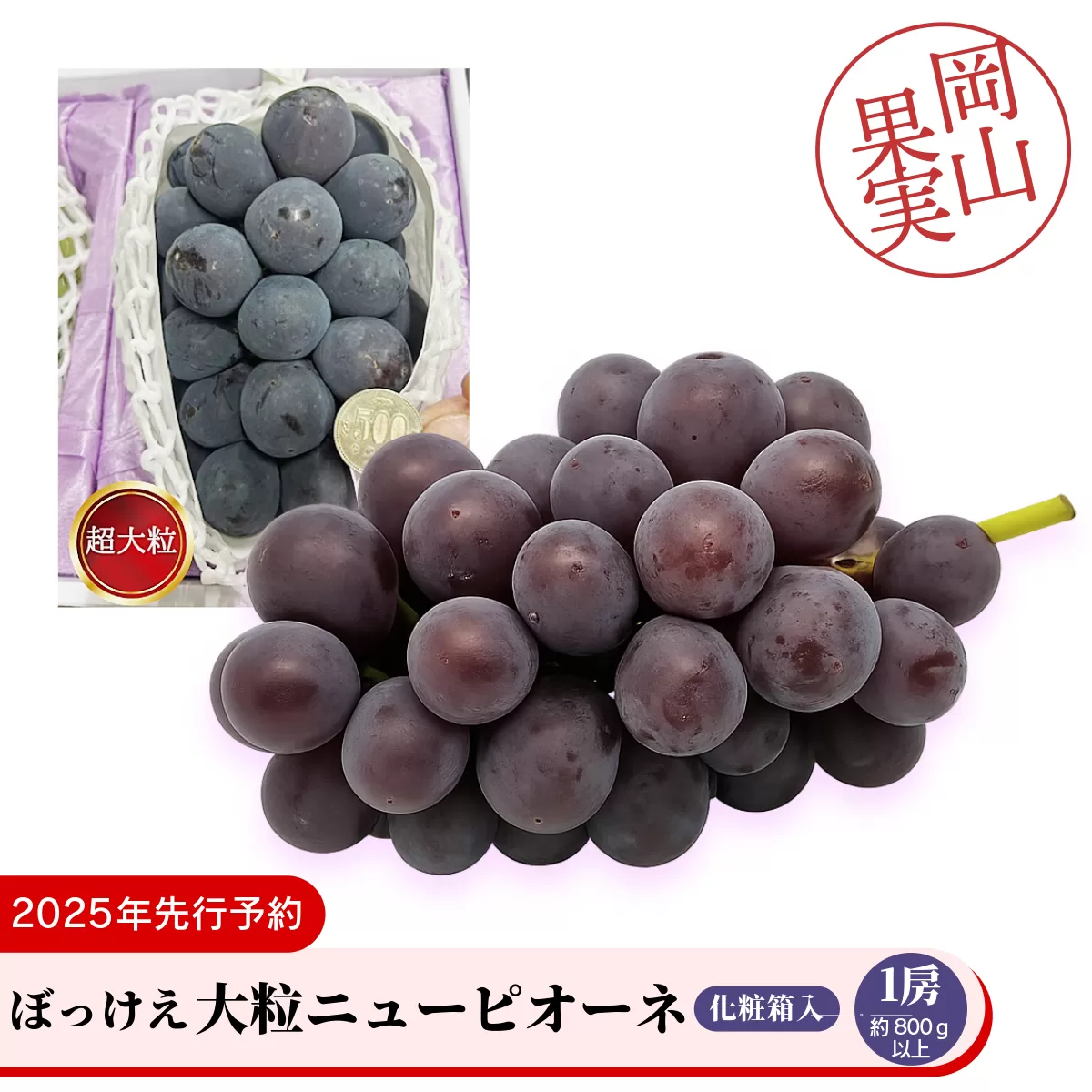 ぼっけえ大粒ニューピオーネ1房（約800ｇ以上）化粧箱入