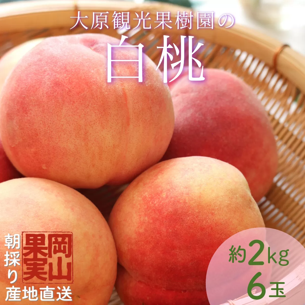【2025年先行予約】［大原観光果樹園］岡山県産 旬の朝採れ白桃 1箱（約2kg 6玉）【026-a019】