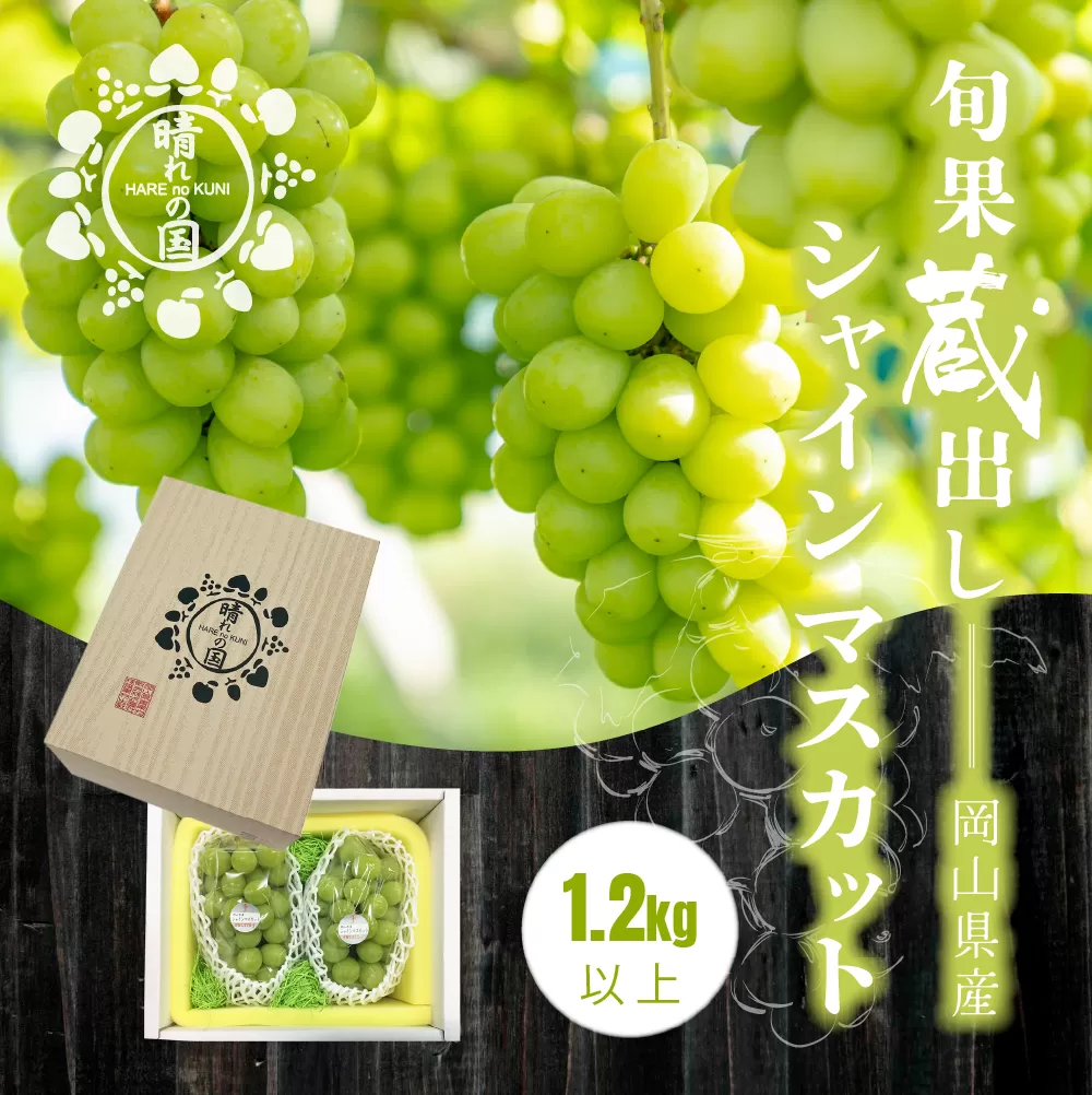 【先行予約　2025年12月上旬〜2026年1月発送】旬果蔵出し　岡山県産シャインマスカット 1.2kg以上（2〜3房）［021-a022］
