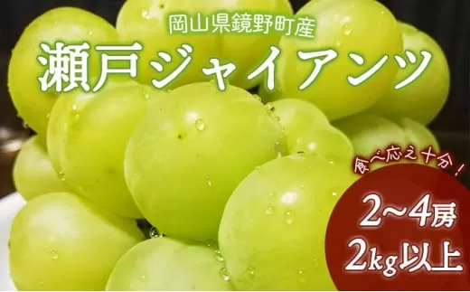 【期間限定】鏡野町産 瀬戸ジャイアンツ 2kg（2～4房）