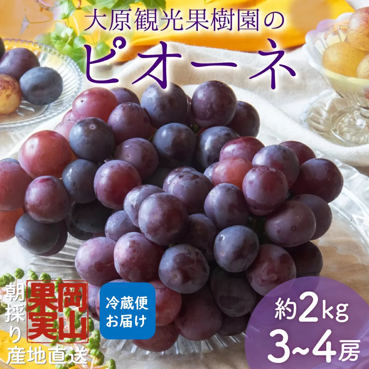 【2025年先行予約】［大原観光果樹園］ピオーネ 3～4房（約2kg）化粧箱入り【026-a013】