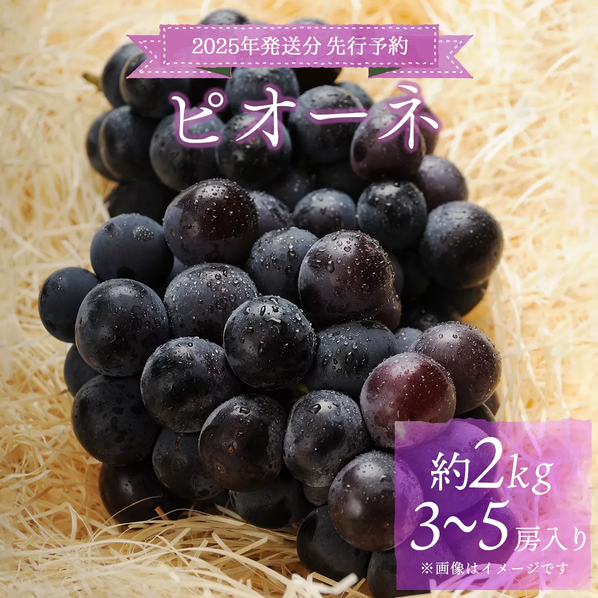 ＜2025年発送分 先行予約＞梅村ファーム 朝摘み直送 ピオーネ（3〜5房入り 約2kg）【030-a014】