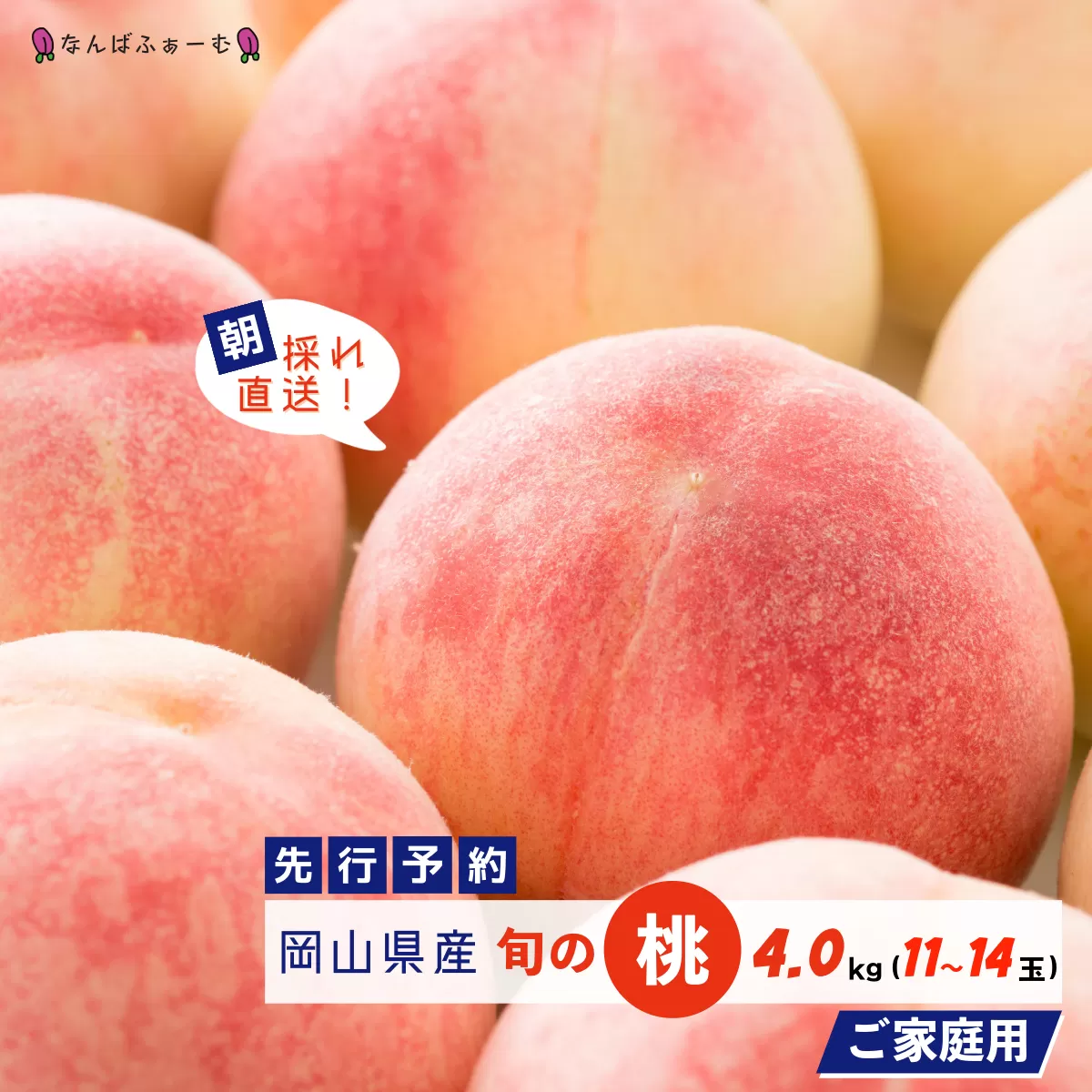 【2025年先行予約】［なんばふぁーむ］岡山県産 旬の桃 4.0kg（11～14玉）［ご家庭用］