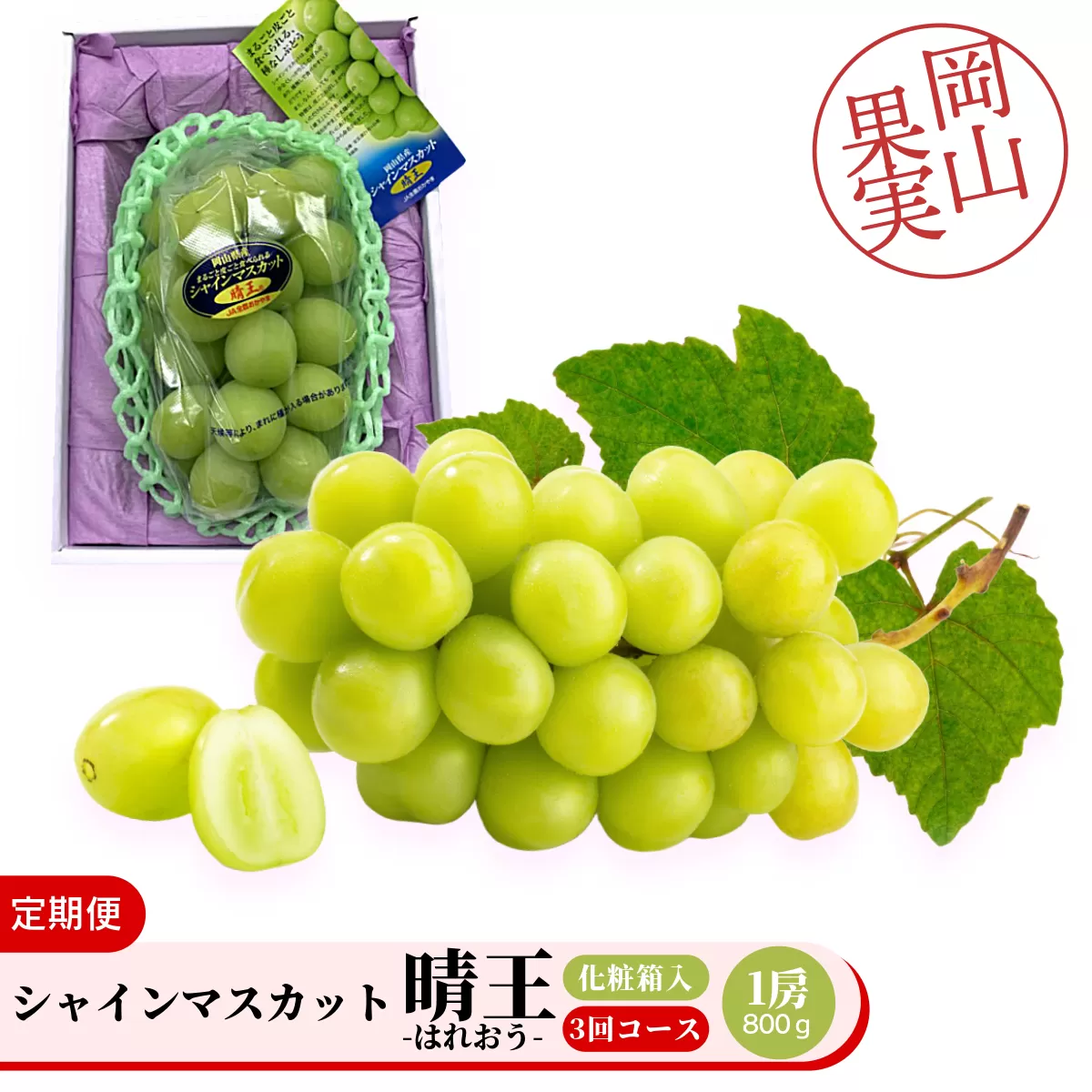 ＜定期便全3回＞シャインマスカット晴王1房800ｇ化粧箱入　3回コース