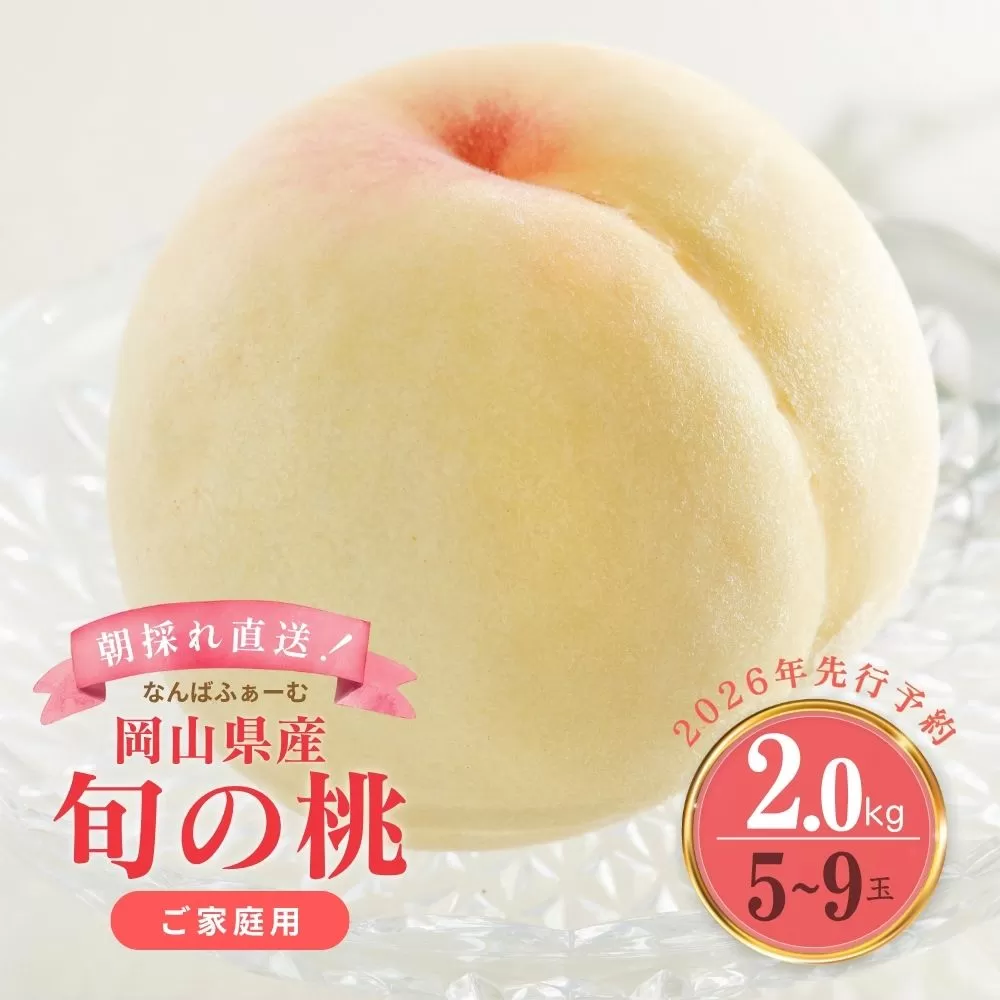 【数量限定】［なんばふぁーむ］岡山県産 旬の桃 2.0kg（5〜9玉）【2026年発送】［ご家庭用］