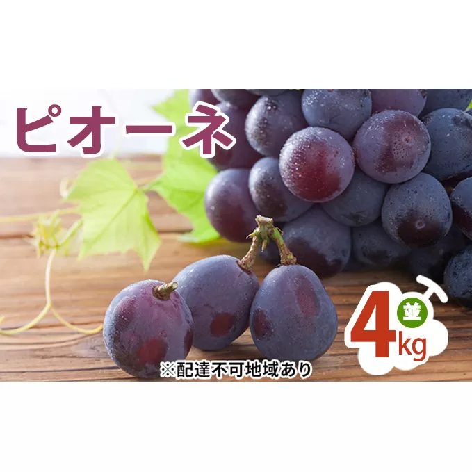 ピオーネ 4kg （並） ぶどう 葡萄 フルーツ 果物 岡山県 岡山県産 2024年 先行予約
