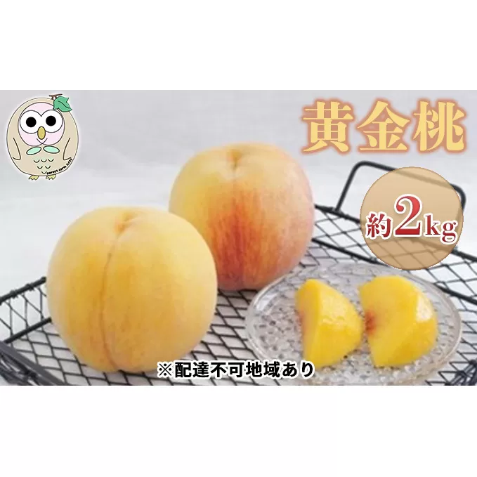 桃 黄桃 黄金桃 約2kg 5～8玉 もも フルーツ 果物 岡山 美咲町産