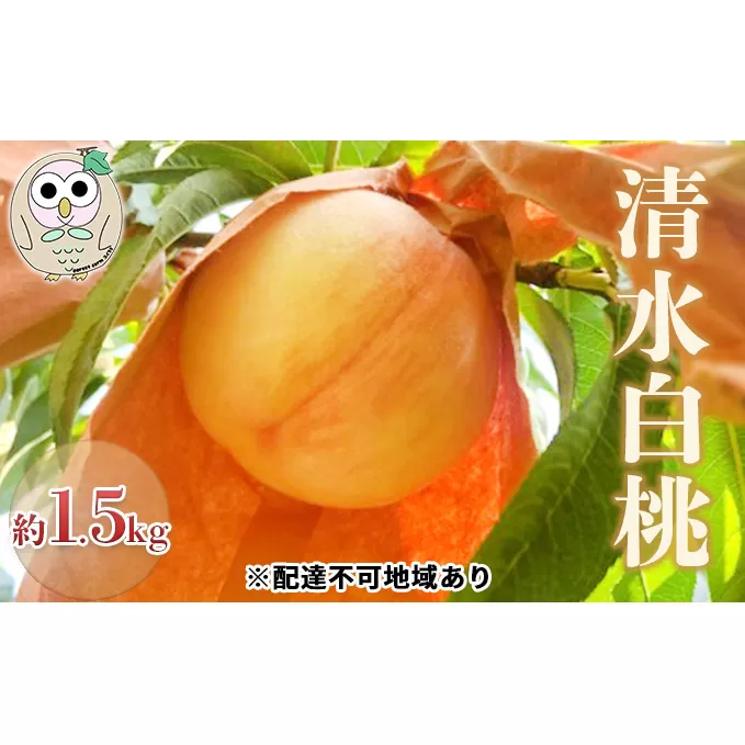桃 白桃 清水白桃 約1.5kg 4～6玉 もも フルーツ 果物 岡山 美咲町産